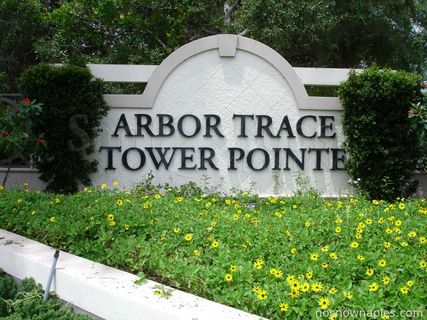 Arbor Trace - 31 Home(s) for Sale & 0 Lot(s) for Sale - Naples - Collier - NoSnowNaples