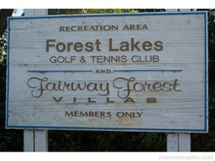 Forest Lakes  - 26 Home(s) for Sale & 1 Lot(s) for Sale - Naples  - Collier  - NoSnowNaples