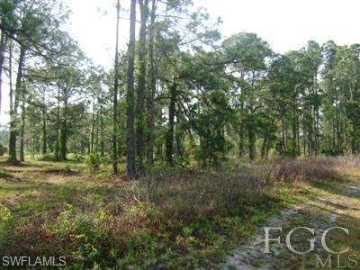 125 N Mayoral ST, CLEWISTON FL 33440