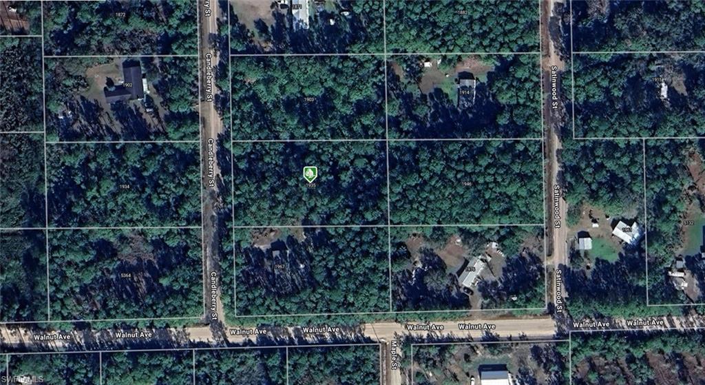 1935 Candleberry ST, BUNNELL FL 32110