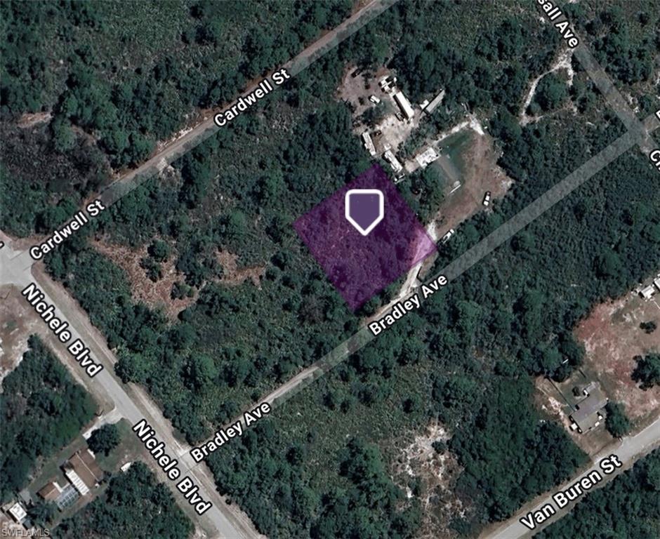 1209 Bradley AVE, LAKE PLACID FL 33852