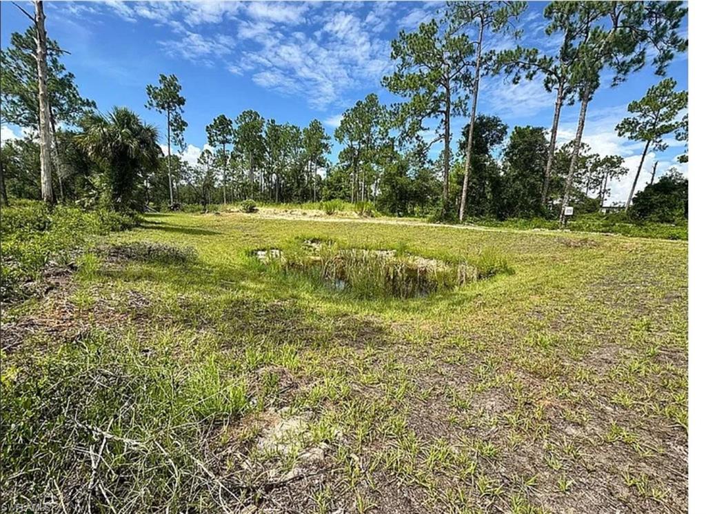 7681 22nd TER, LABELLE FL 33935