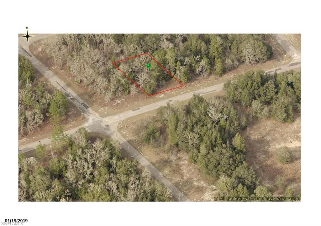 1641 W Delmane DR, DUNNELLON FL 34434