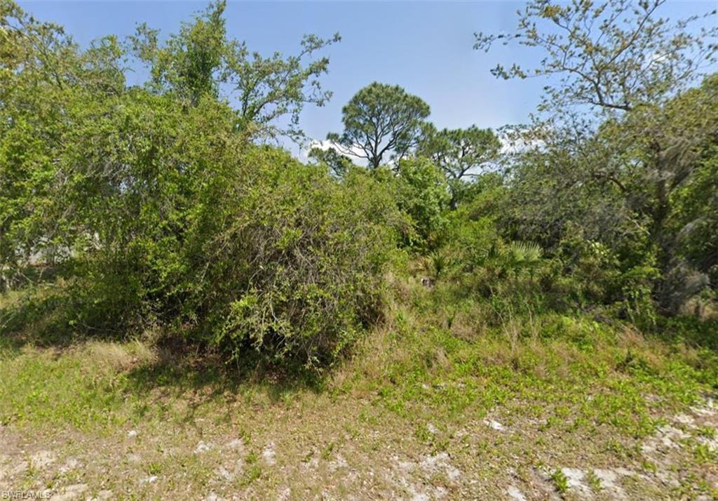249 Grape RD NW, LAKE PLACID FL 33852