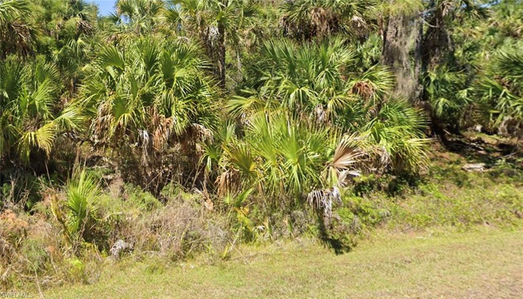 , NAPLES FL 34117