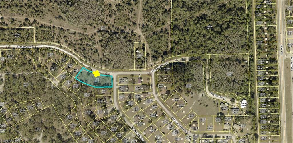 2138 Wyandotte AVE, ALVA FL 33920