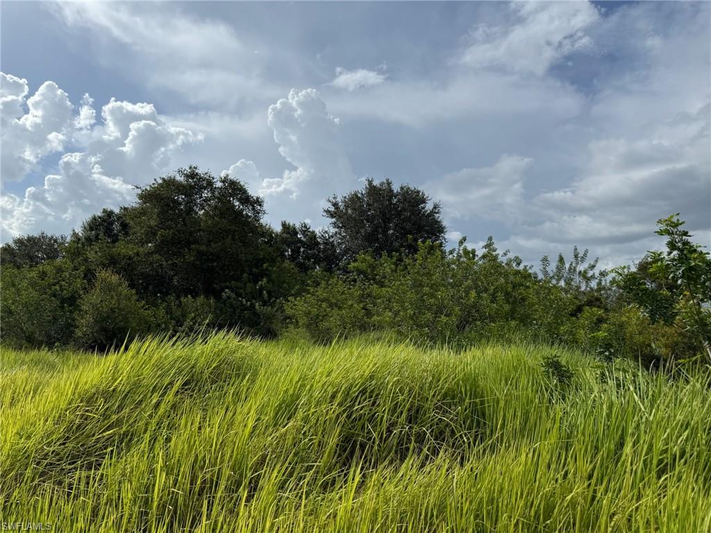 4494 2nd RD, LABELLE FL 33935