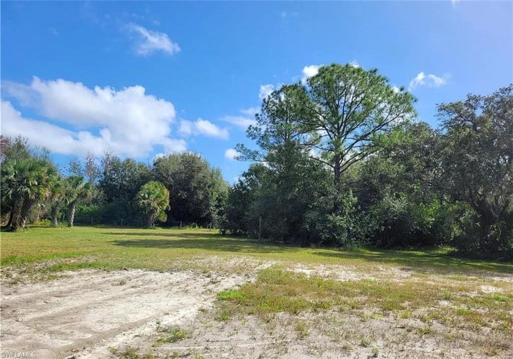 1175 Everglades AVE, CLEWISTON FL 33440