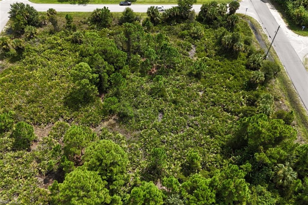 3204 51st ST W, LEHIGH ACRES FL 33971