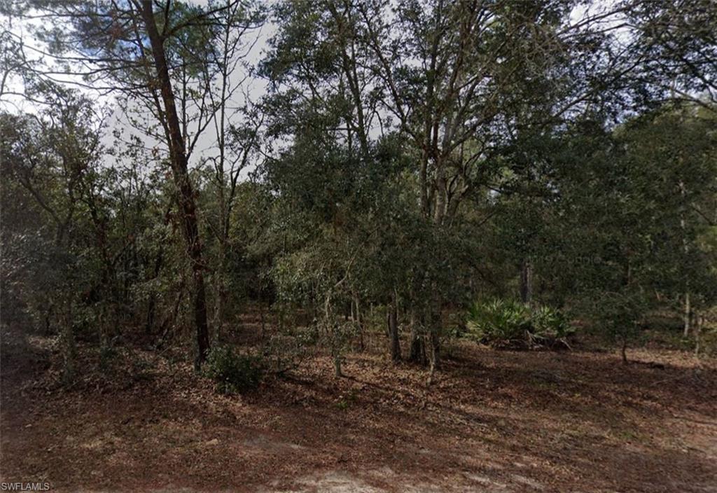 917 David AVE, INTERLACHEN FL 32148