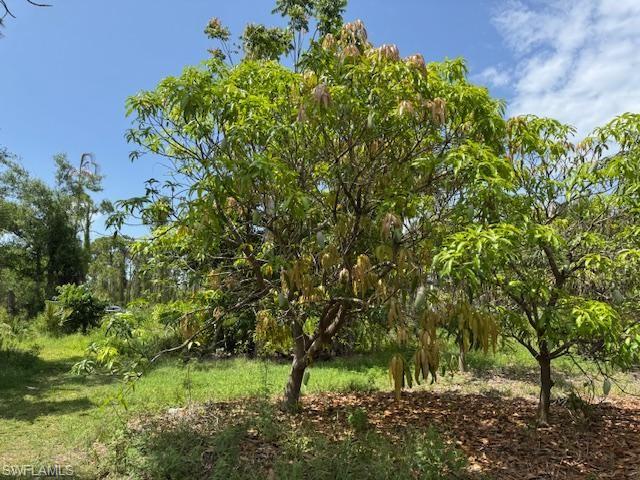 5431 Gamebird LN, BOKEELIA FL 33922