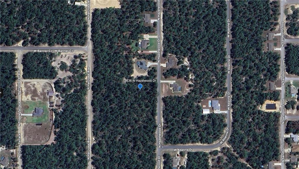 6636 N Hazelwood DR, CITRUS SPRINGS FL 34433