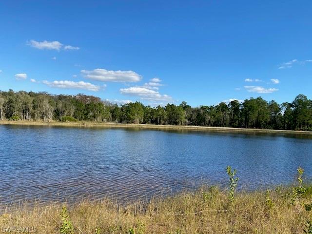 723 Joffre PL, LEHIGH ACRES FL 33974