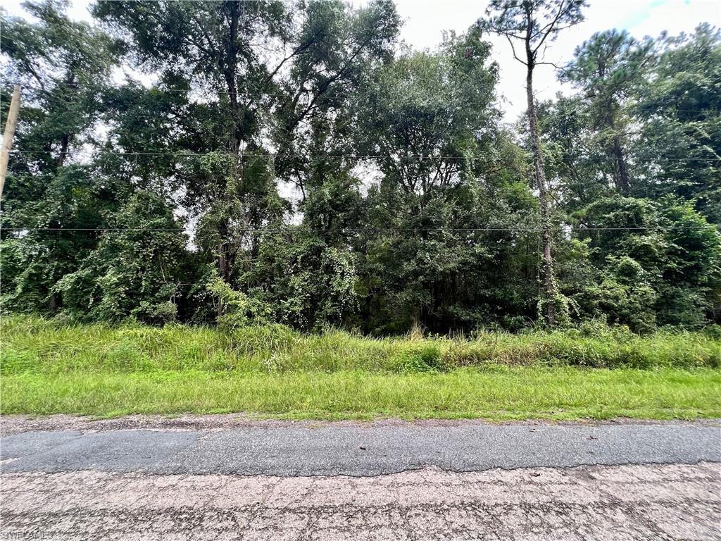 303 W ERIDANI CT, CITRUS SPRINGS FL 34494