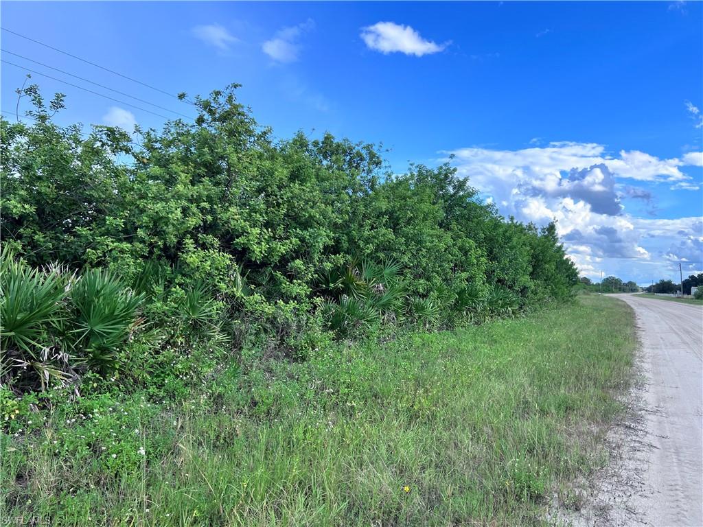 2913 Fernwood LN, LABELLE FL 33935