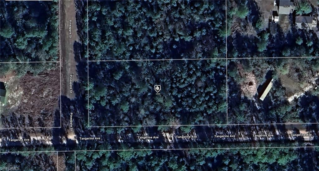 2949 Pineapple ST, BUNNELL FL 32110