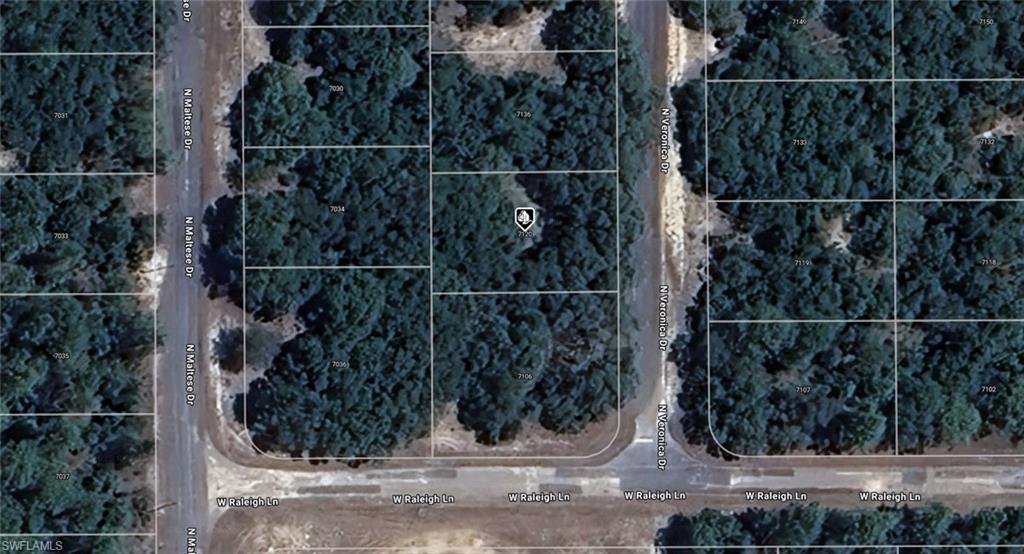 7120 N Veronica DR, DUNNELLON FL 34433