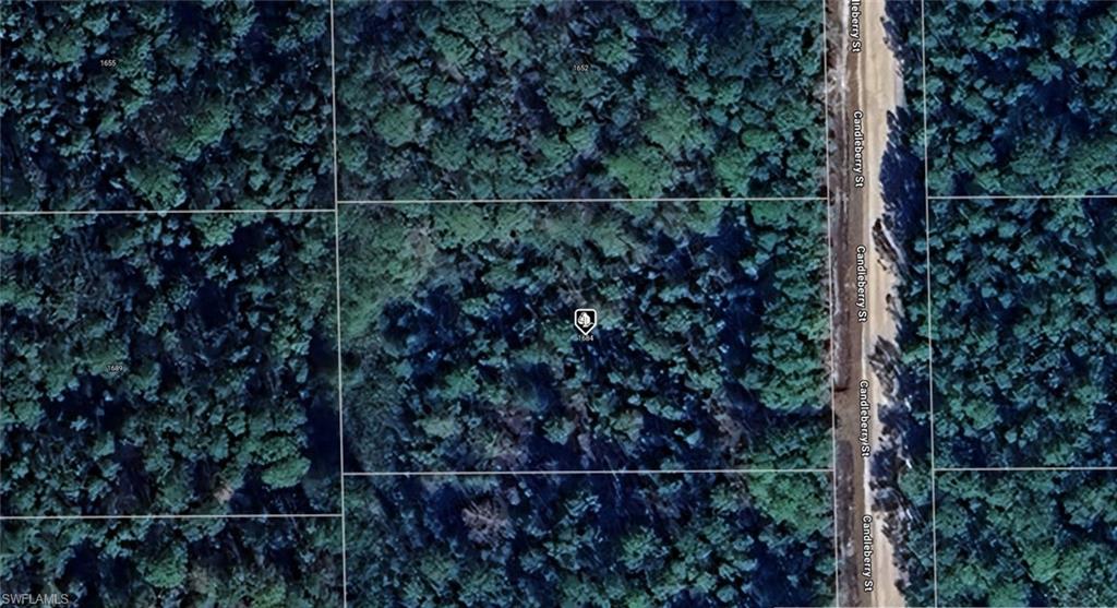 1684 Candleberry ST, BUNNELL FL 32110