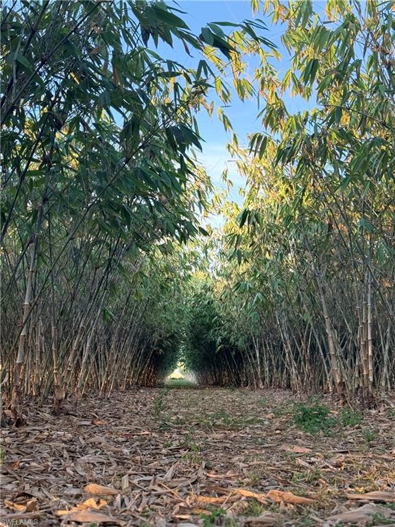 6724 5th RD, LABELLE FL 33935