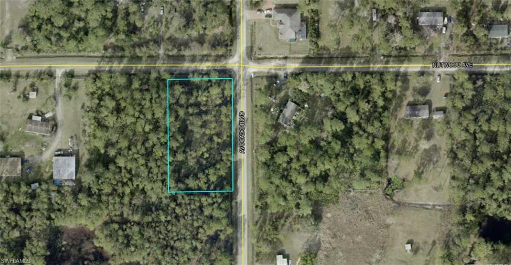 5958 Nutwood AVE, BUNNELL FL 32110