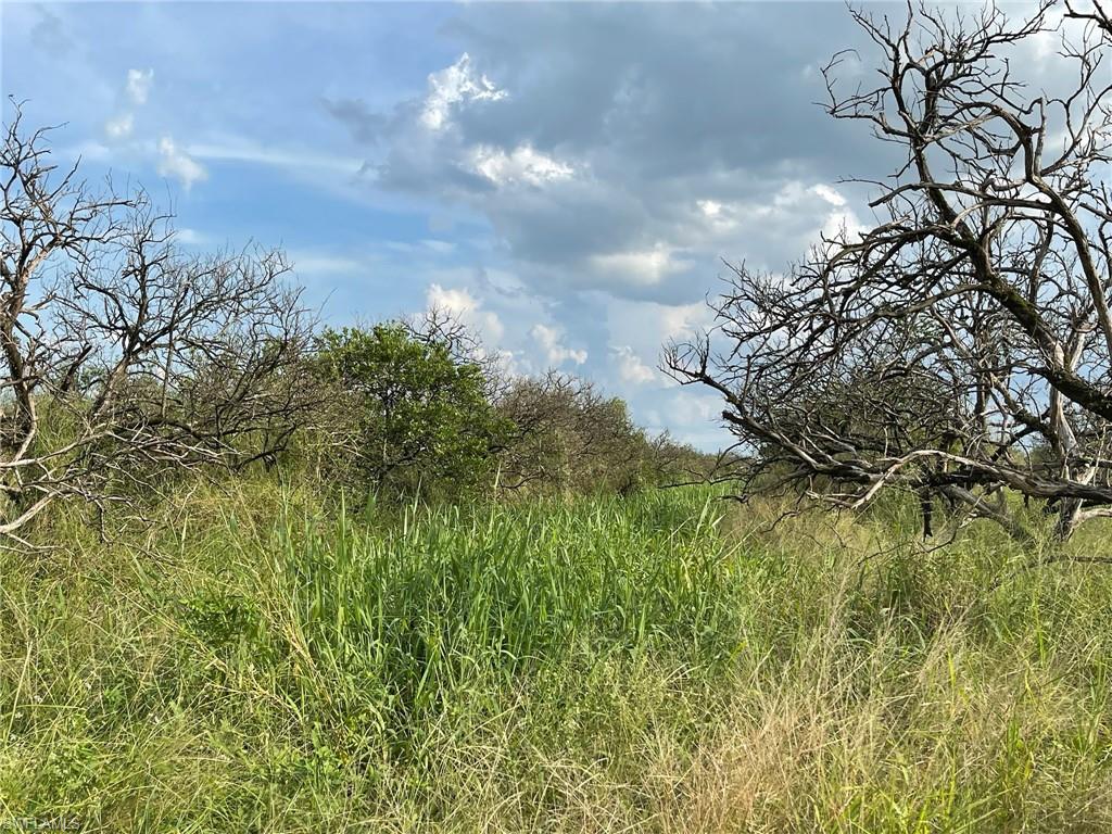 6876 5th RD, LABELLE FL 33935