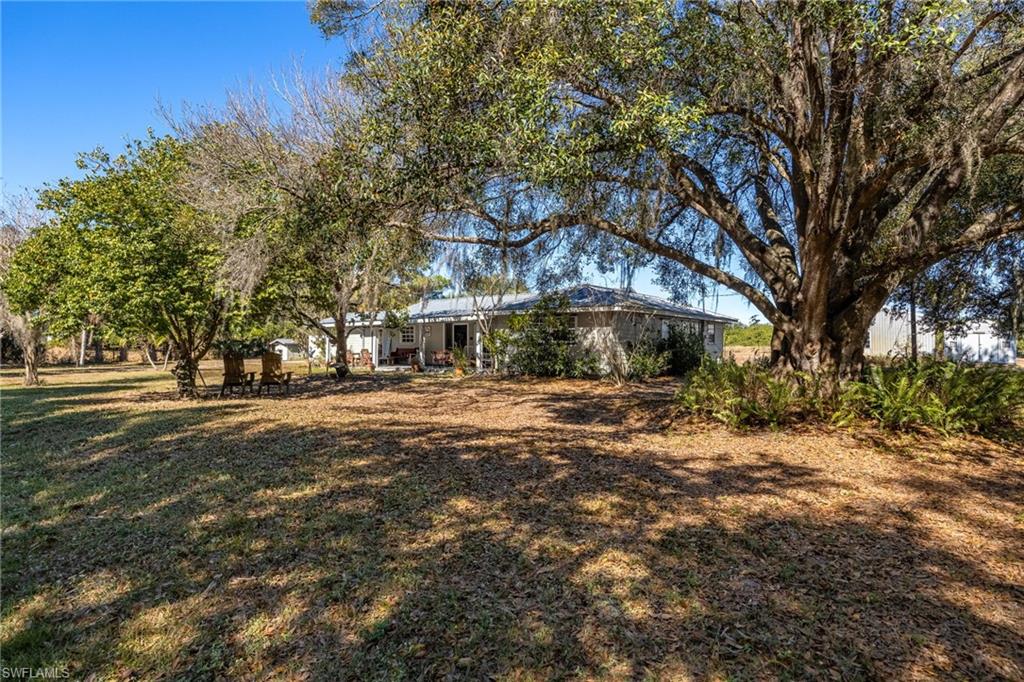 990 Morris Taylor RD, FELDA FL 33930