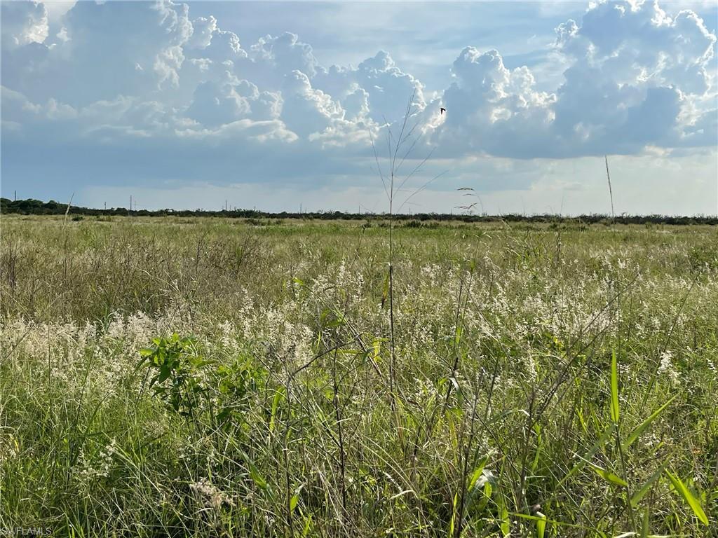 6985 6th RD, LABELLE FL 33935