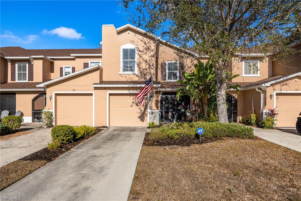 15141 Piping Plover CT 104