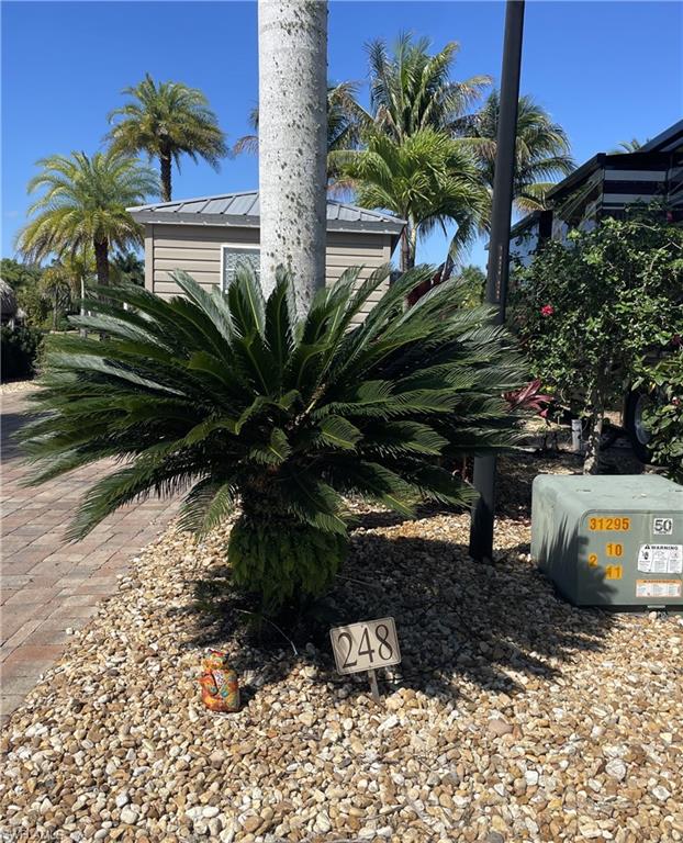 5230 Pineland Daisy TRL