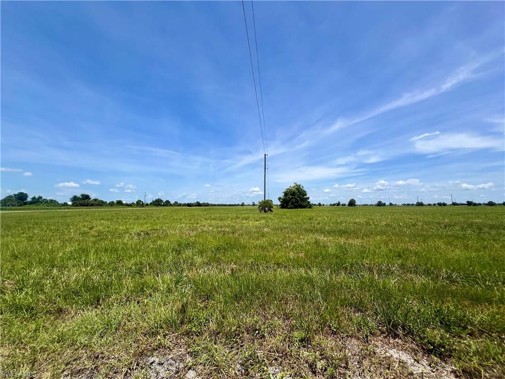 32 Teak LN
