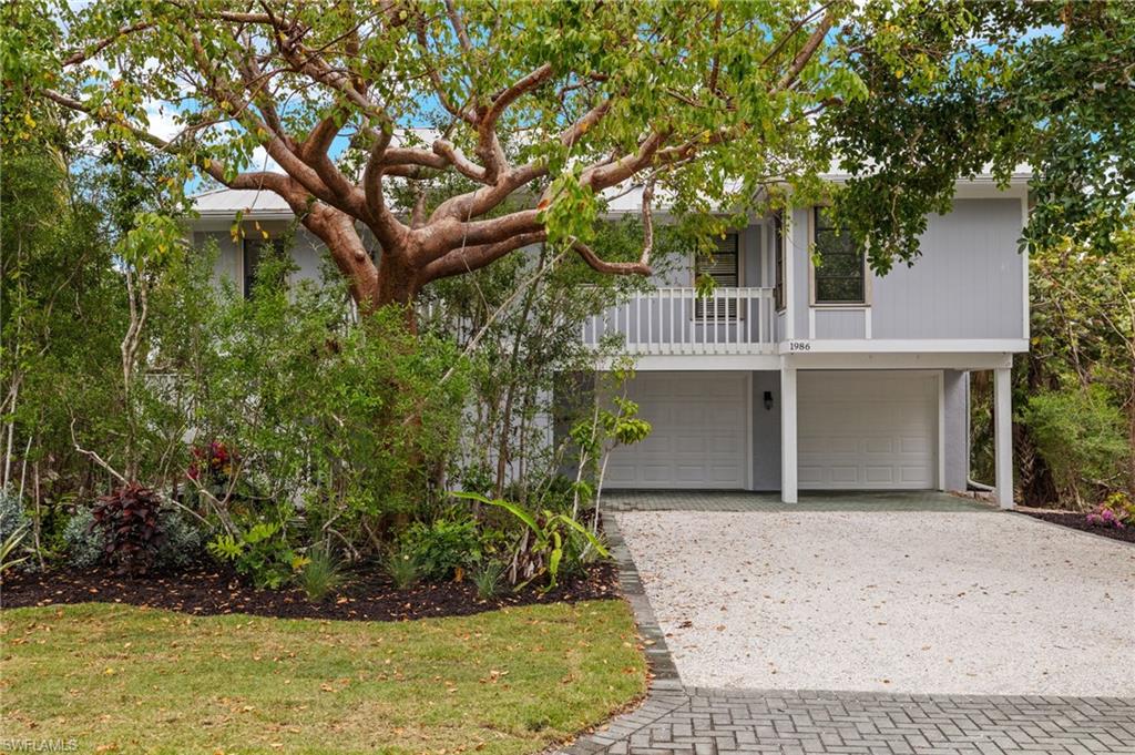 1986 Wild Lime DR