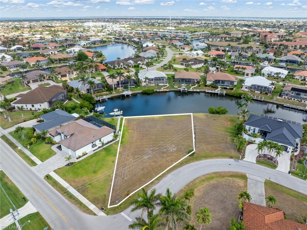 1466 Kiwi CT
