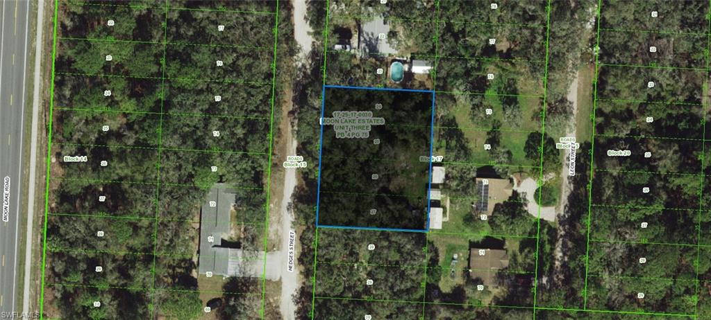 17-25-17-0030-01700-0240 Hedges ST