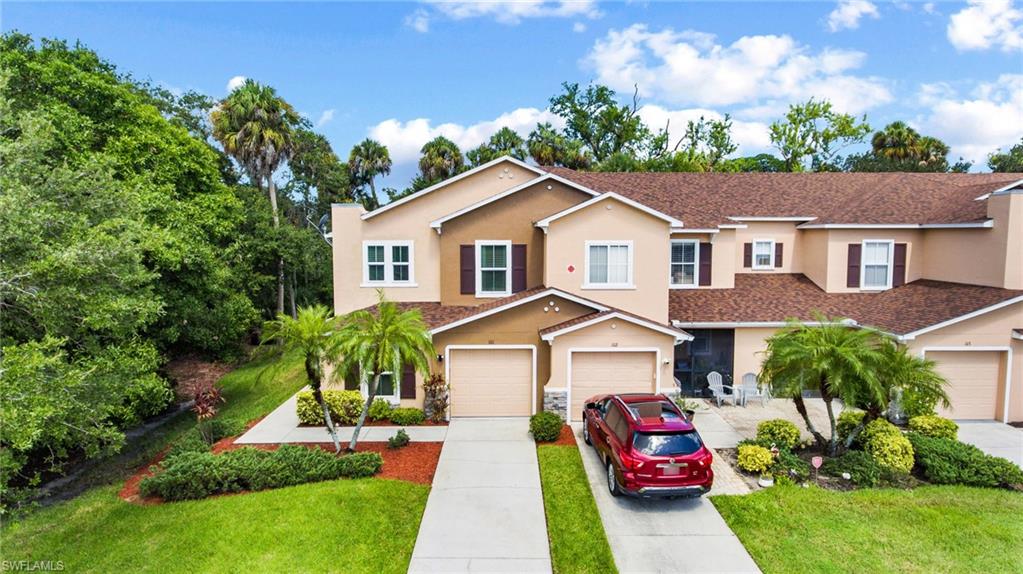 15141 Piping Plover CT 101