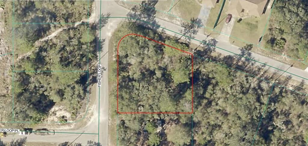 9035-1003-10 SW Fisher LOOP