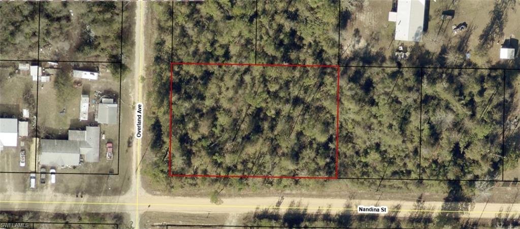 01653-000-000 Nandina ST