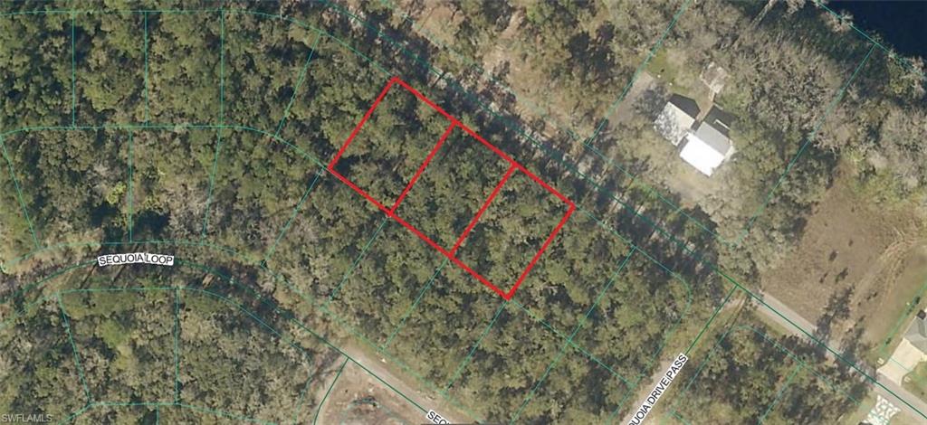 0 Sequoia DR