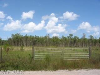 25856 TROPIC ACRES DR