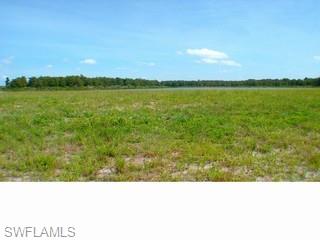 285 SHADY HOLLOW BLVD W, NAPLES FL 34120