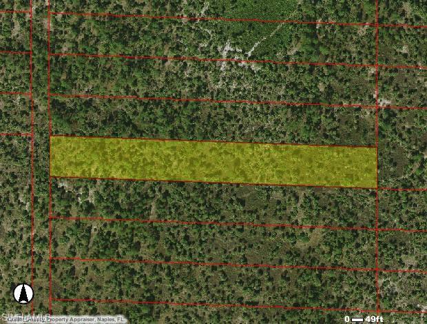 0000 IVY WAY, NAPLES FL 34117