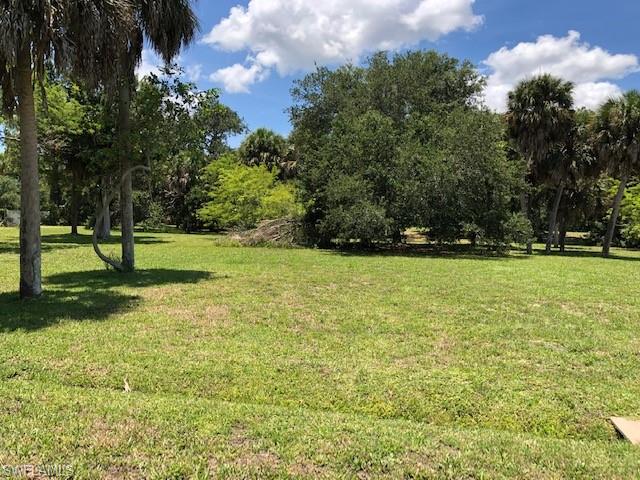 1750 Seafan CIR