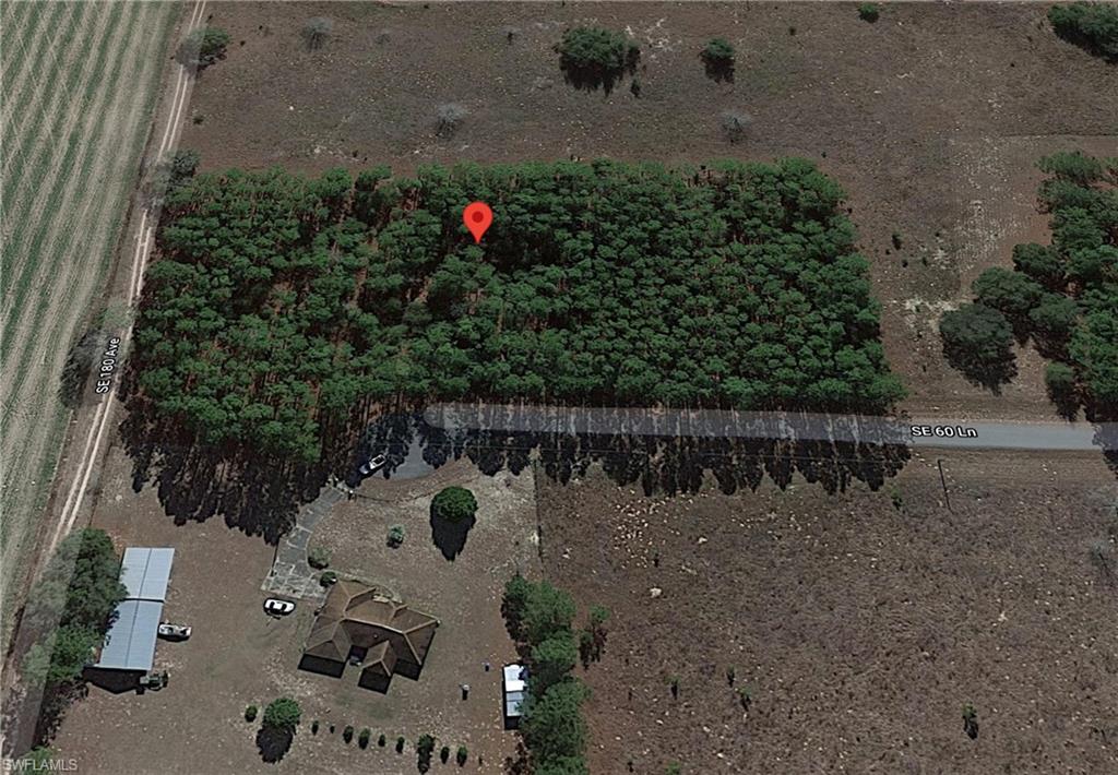 SE 60th LN, MORRISTON FL 32668