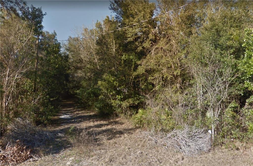 7249 NW 165th ST, TRENTON FL 32693