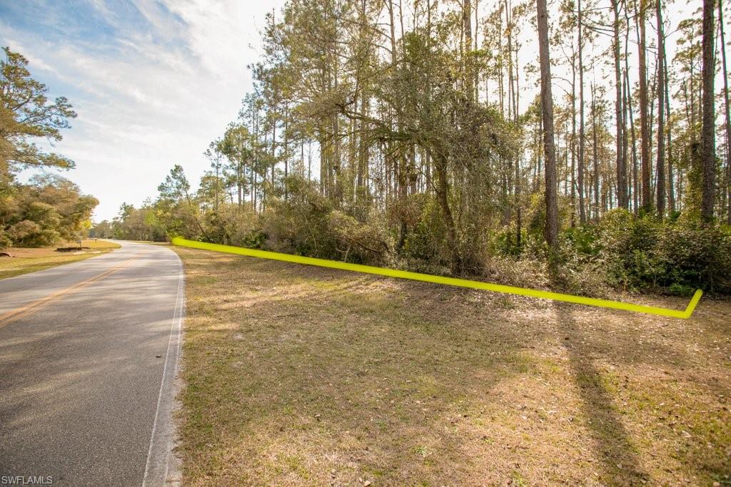 403 Plantation Pines DR, GEORGETOWN FL 32139