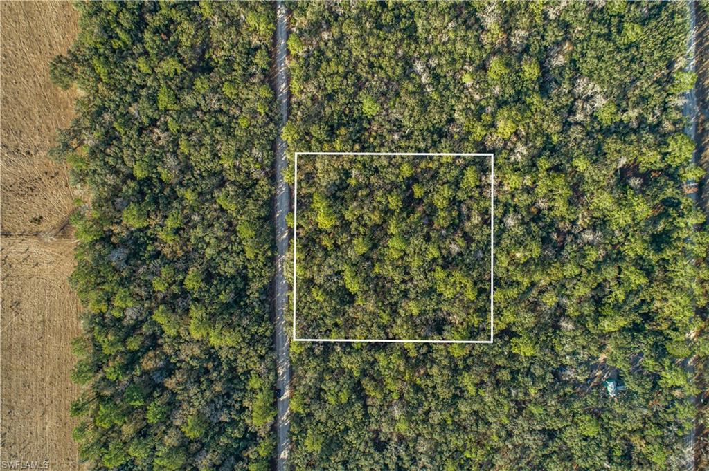 SE Wild Turkey RD SE, BRANFORD FL 32088
