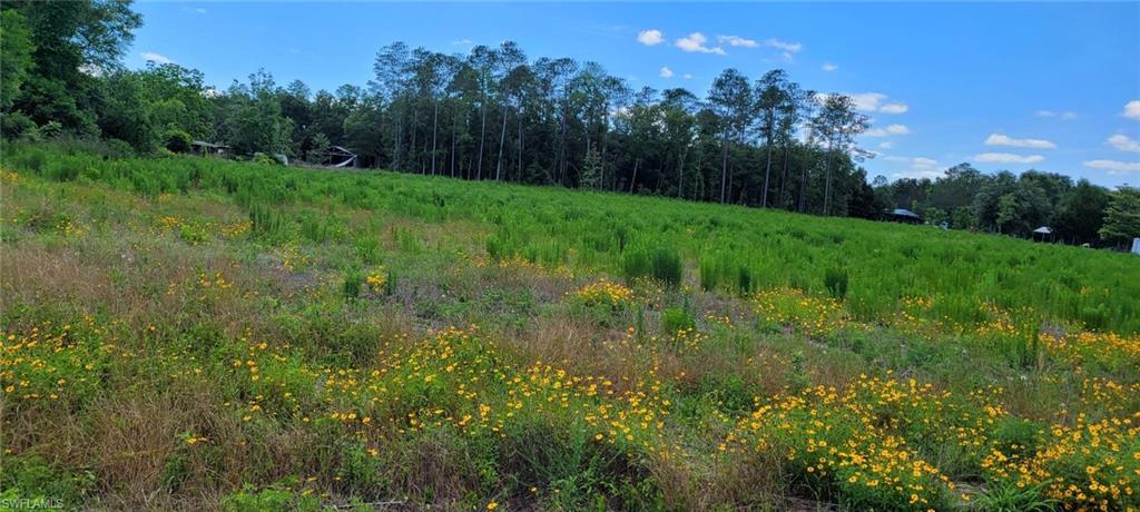 , LIVE OAK FL 32060