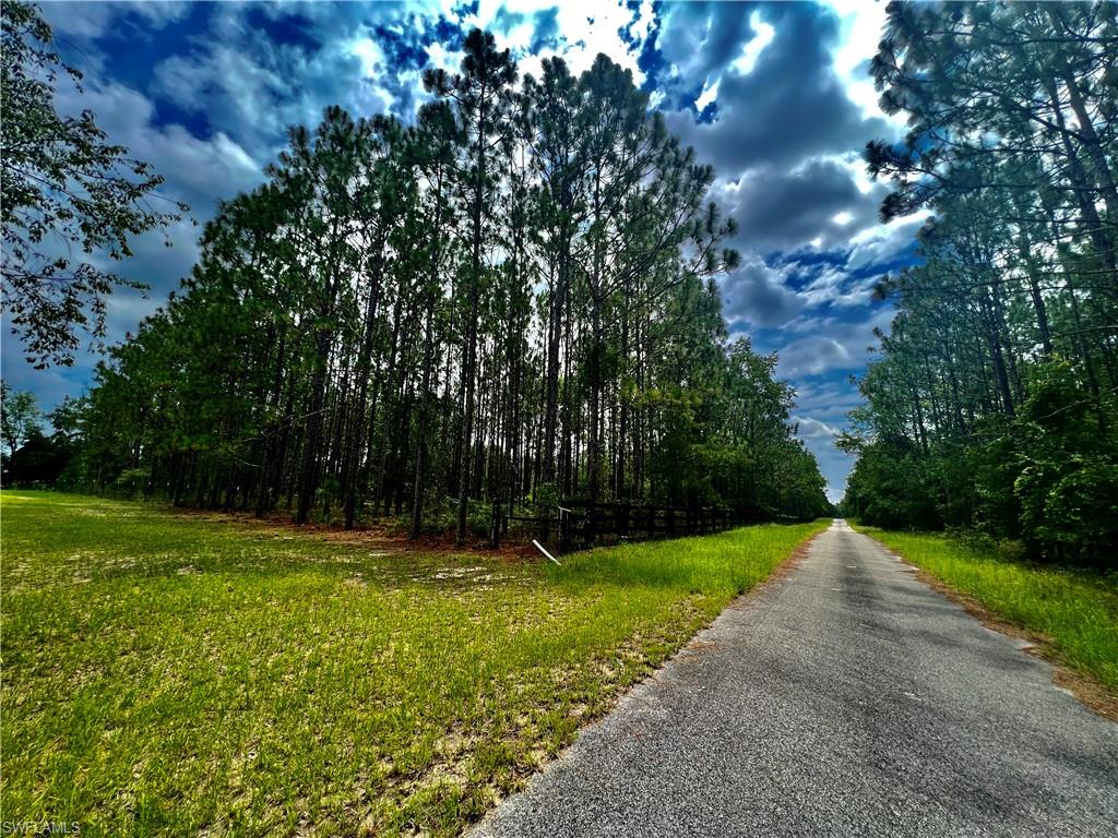 0000 SW 88 AVE, ALACHUA FL 32669