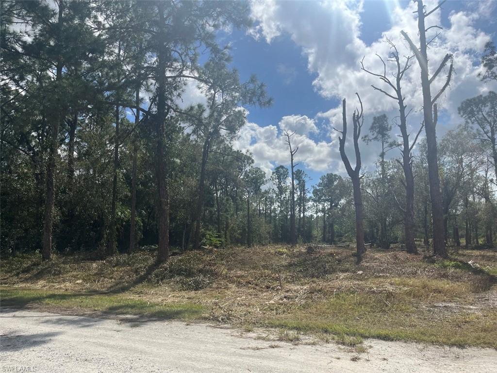 712 Woodland BLVD, CLEWISTON FL 33440