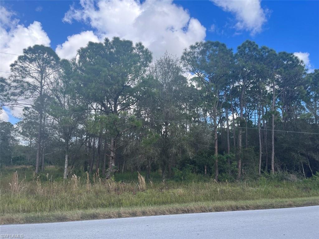 817 Woodland BLVD, CLEWISTON FL 33440