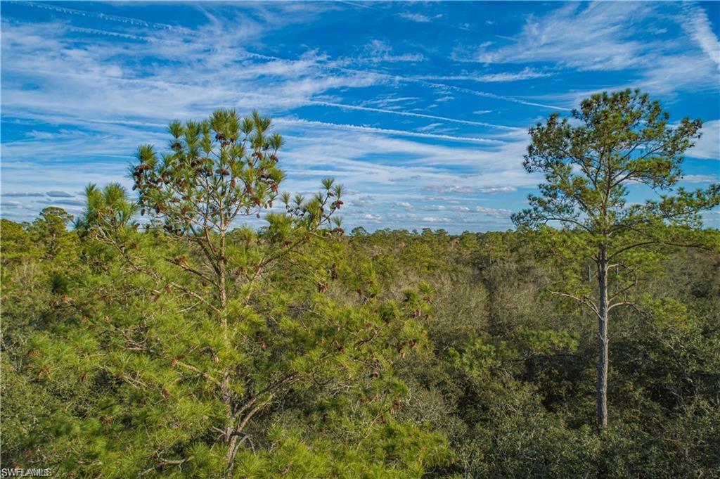 SE Wild Turkey RD, BRANFORD FL 32088